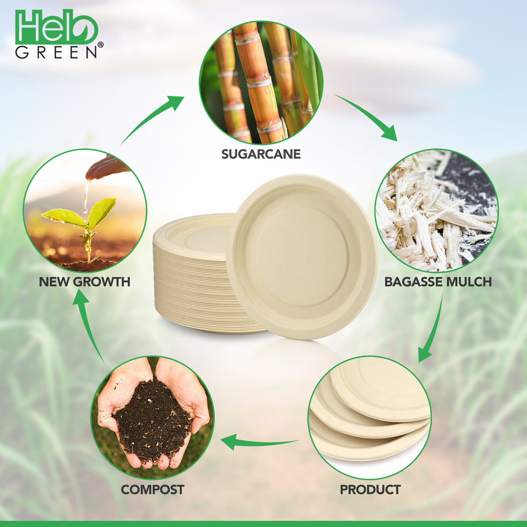 Terrahue 9 inch Round Plate, Biodegradable, Compostable, Sugarcane Bag